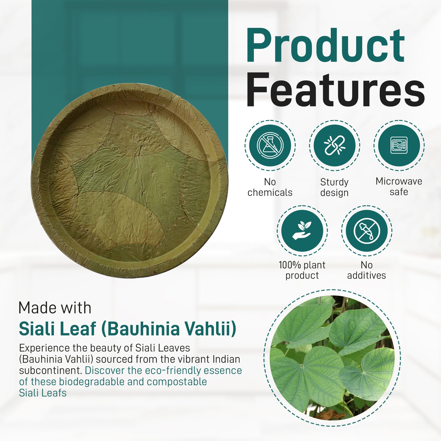 Eco-Friendly Vistaraku Leaf Plate Set - Siali (Bauhinia vahlii) and Palash Leaves | Biodegradable Disposable Plates for Parties, Weddings, BBQs & Traditional Events| Zero Waste | 16-inch Size | Pack of 25