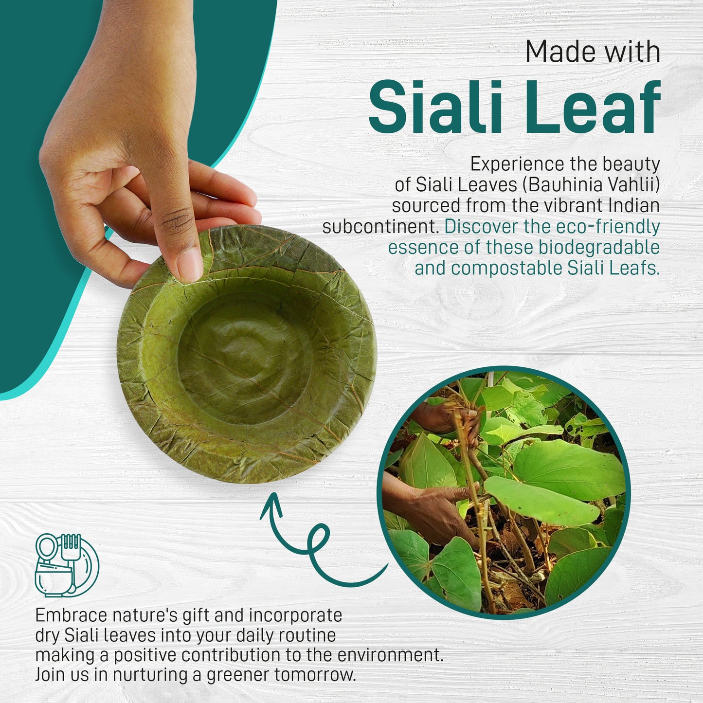 Eco-Friendly Vistaraku Leaf Bowl Set - Siali (Bauhinia vahlii) and Palash Leaves | Biodegradable Disposable Bowls for Parties, Weddings, BBQs & Traditional Events | Zero Waste | 4.5-Inch Size | Pack of 25